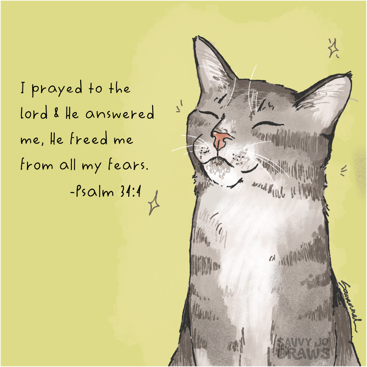 Cats